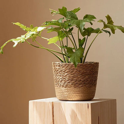 Maceta de mimbre tejida a mano para flores, cesta de mimbre para almacenamiento, maceta de jardín, cesta tejida a mano