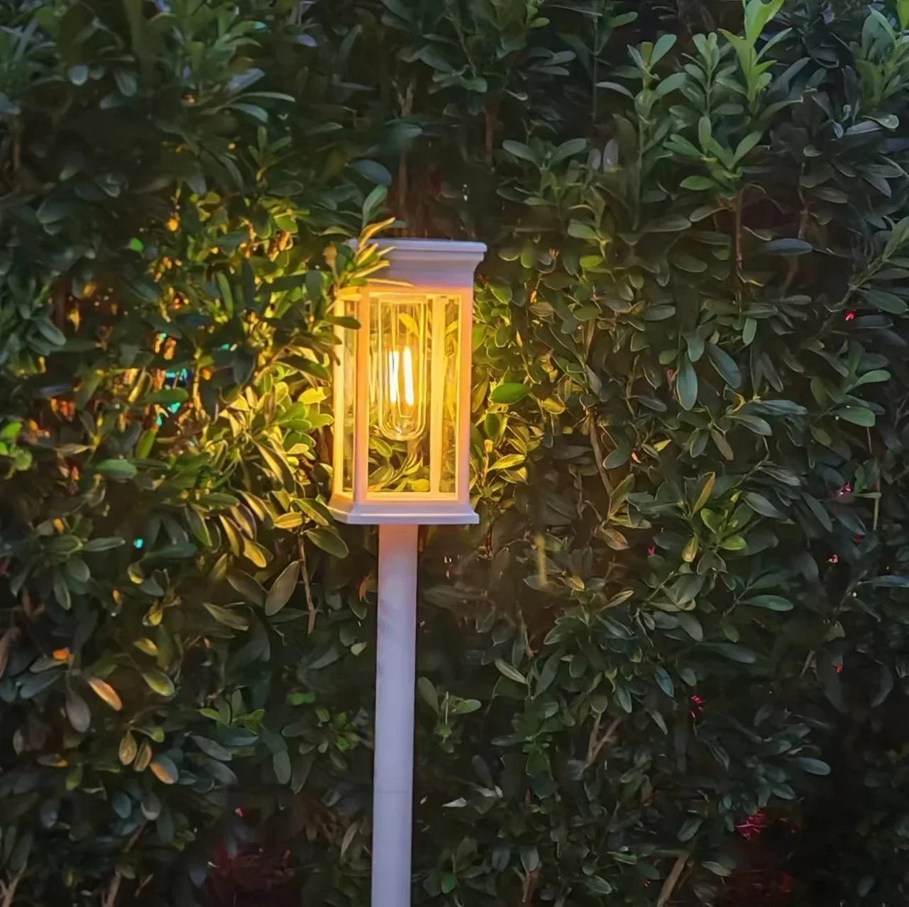 Automatic Solar Path Lights