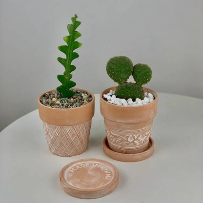 Maceta de cerámica roja, maceta de terracota, macetas de arcilla para cactus y suculentas, macetas de jardín, suministros de jardinería