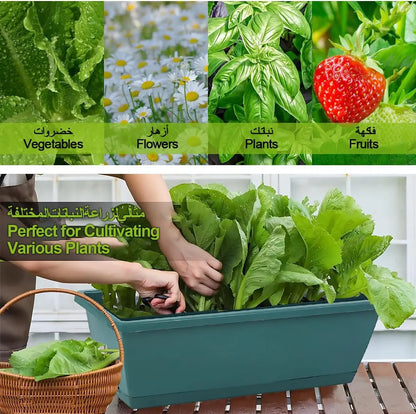 Self-Watering Herb Planter Box – Set of 6