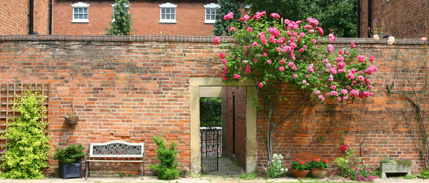 Self-Watering Herb Planter Box – Set of 6