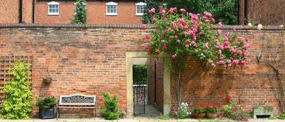 Self-Watering Herb Planter Box – Set of 6