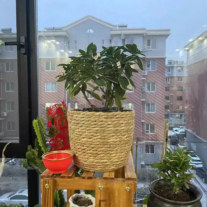 1 pieza para terrazas de jardín, maceta de ratán, cesta de paja, maceta tejida de hierba, decoración de muebles, tamaño mini/pequeño/grande.