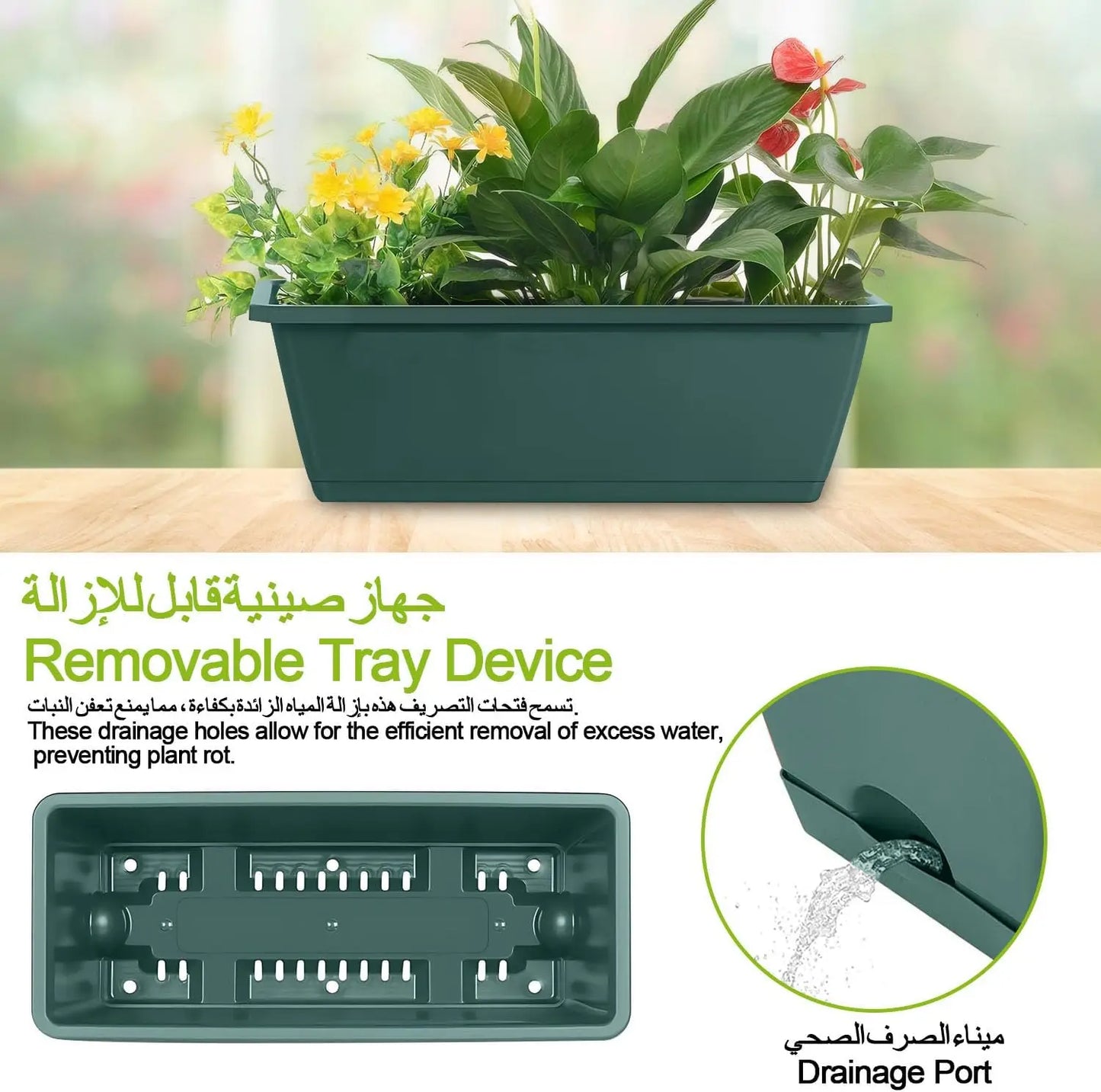 Self-Watering Herb Planter Box – Set of 6