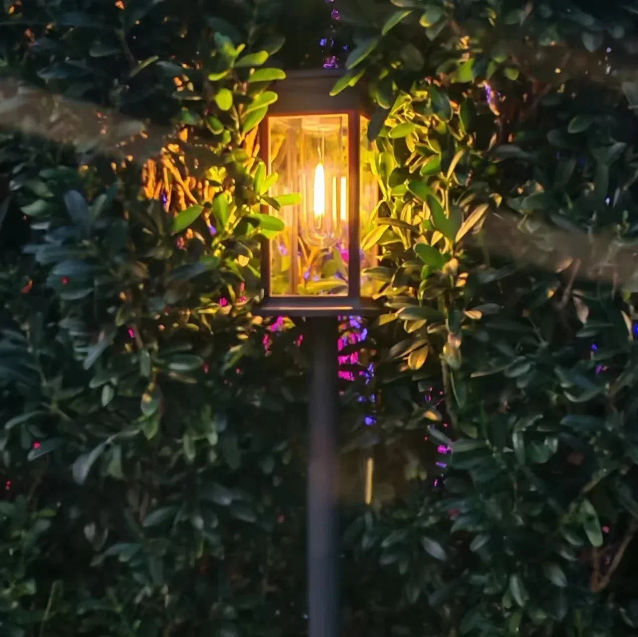 Automatic Solar Path Lights