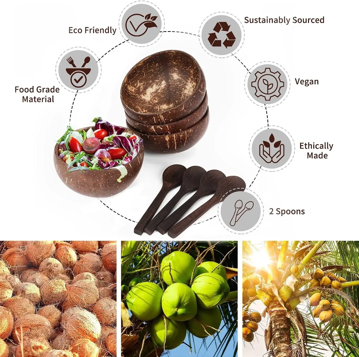 Cuencos de coco para servir platos Ensalada de madera Cuenco de madera reutilizable Utensilios para servir Cuencos de cáscara de coco natural Desayuno Fiesta