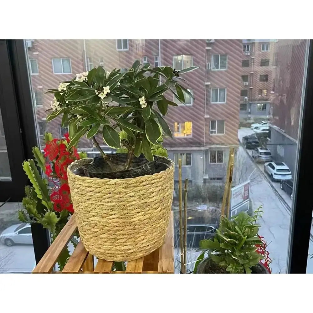 1 pieza para terrazas de jardín, maceta de ratán, cesta de paja, maceta tejida de hierba, decoración de muebles, tamaño mini/pequeño/grande.