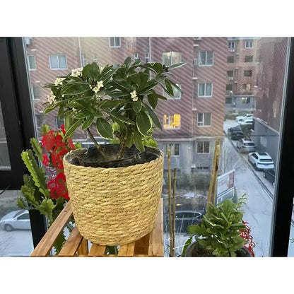 1 pieza para terrazas de jardín, maceta de ratán, cesta de paja, maceta tejida de hierba, decoración de muebles, tamaño mini/pequeño/grande.