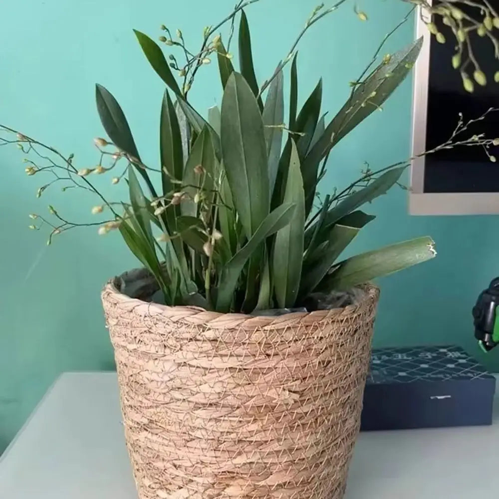 1 pieza para terrazas de jardín, maceta de ratán, cesta de paja, maceta tejida de hierba, decoración de muebles, tamaño mini/pequeño/grande.