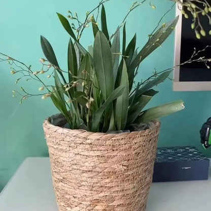 1 pieza para terrazas de jardín, maceta de ratán, cesta de paja, maceta tejida de hierba, decoración de muebles, tamaño mini/pequeño/grande.