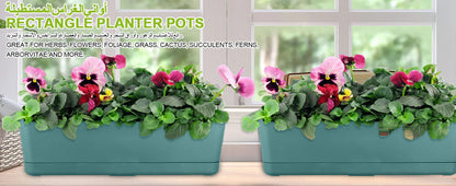 Self-Watering Herb Planter Box – Set of 6