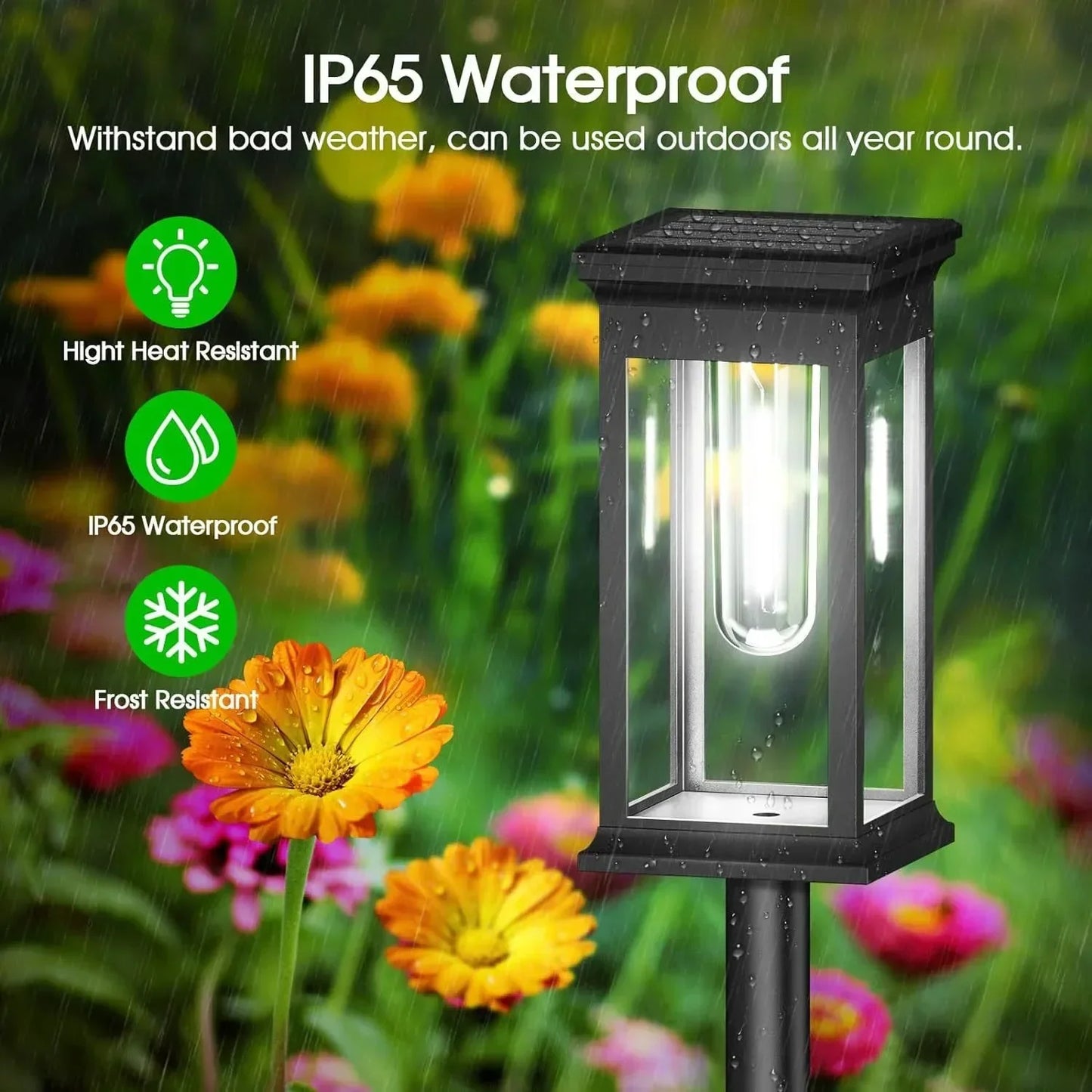 Automatic Solar Path Lights