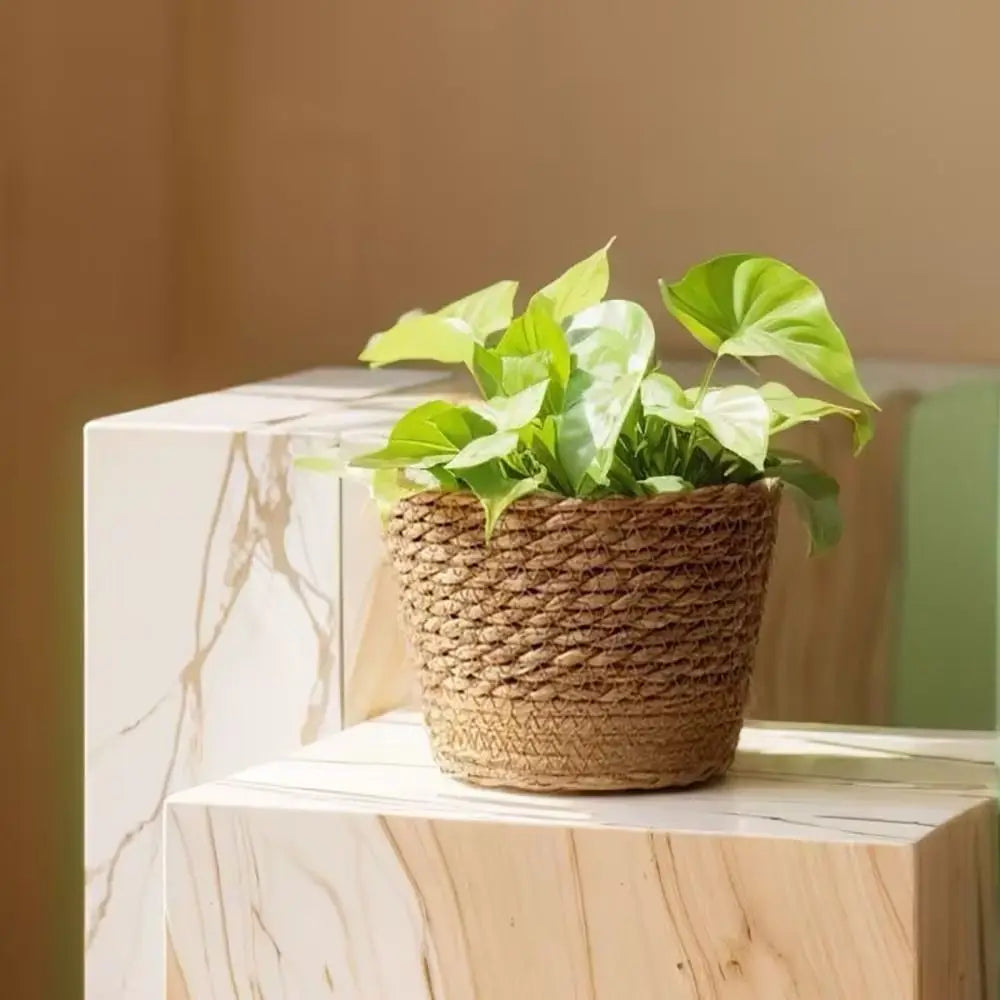 1 pieza para terrazas de jardín, maceta de ratán, cesta de paja, maceta tejida de hierba, decoración de muebles, tamaño mini/pequeño/grande.