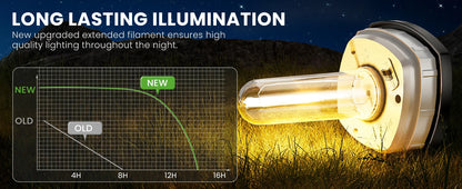 Solar Pathway Lights – Set of 8