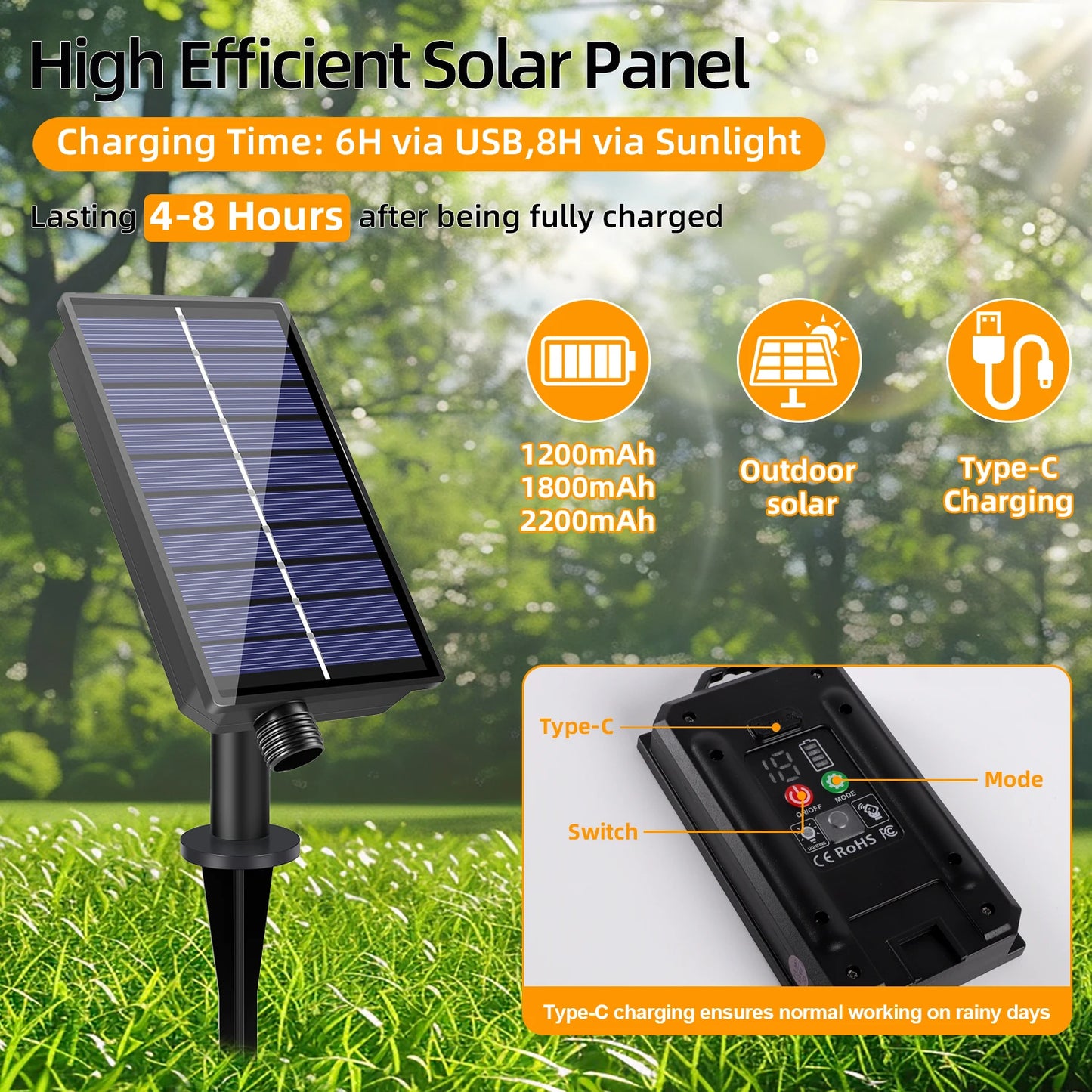 Solar Evening Lights
