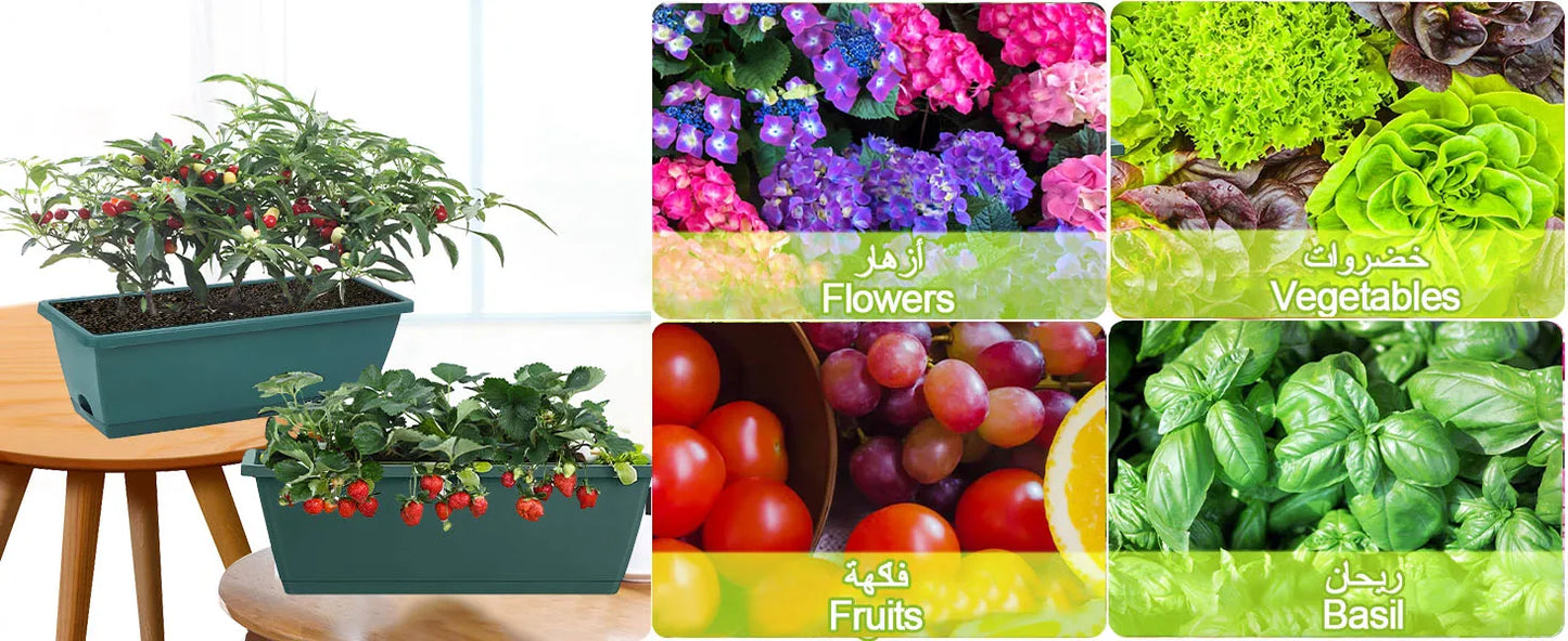 Self-Watering Herb Planter Box – Set of 6