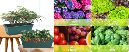 Self-Watering Herb Planter Box – Set of 6