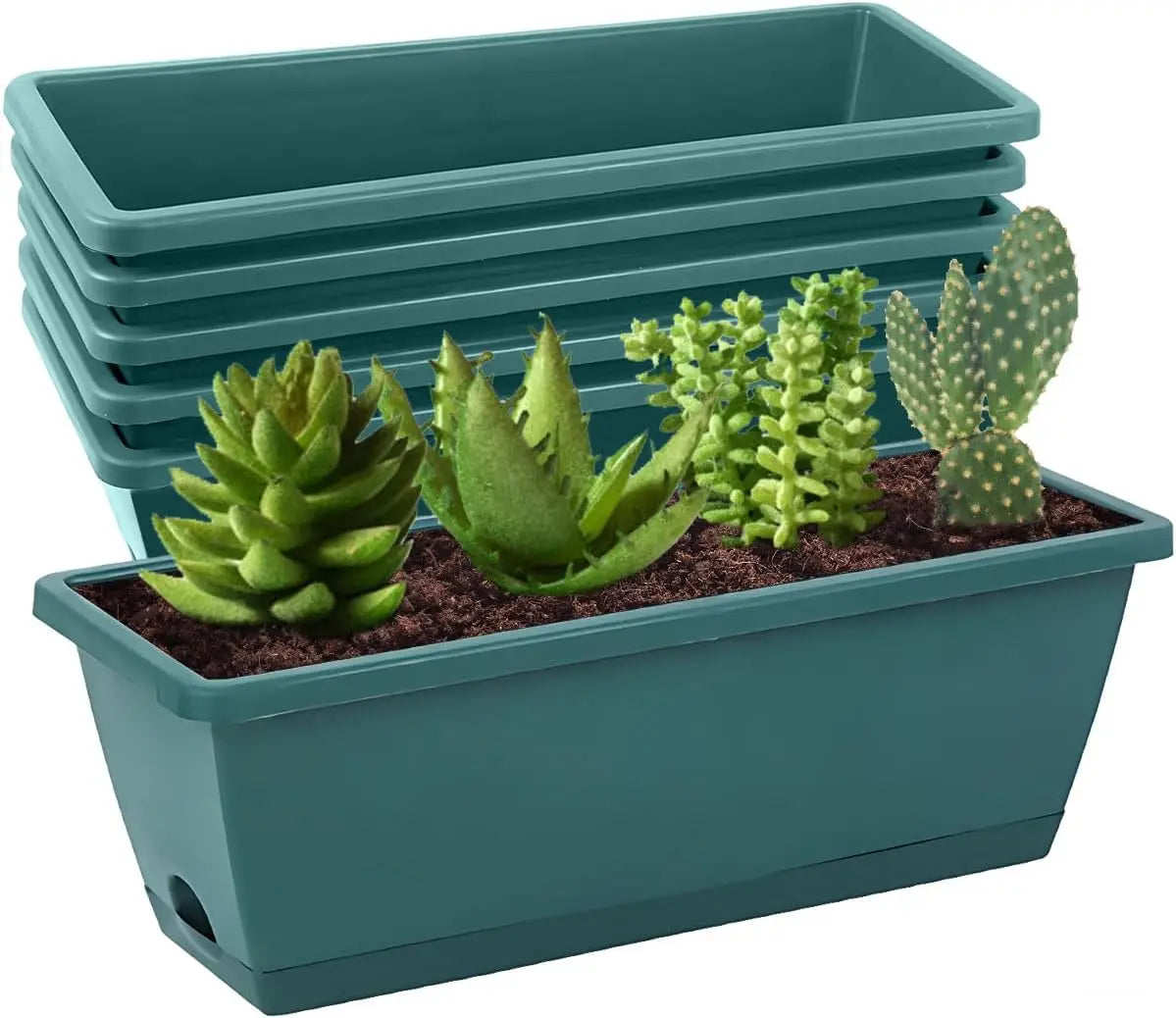 Self-Watering Herb Planter Box – Set of 6