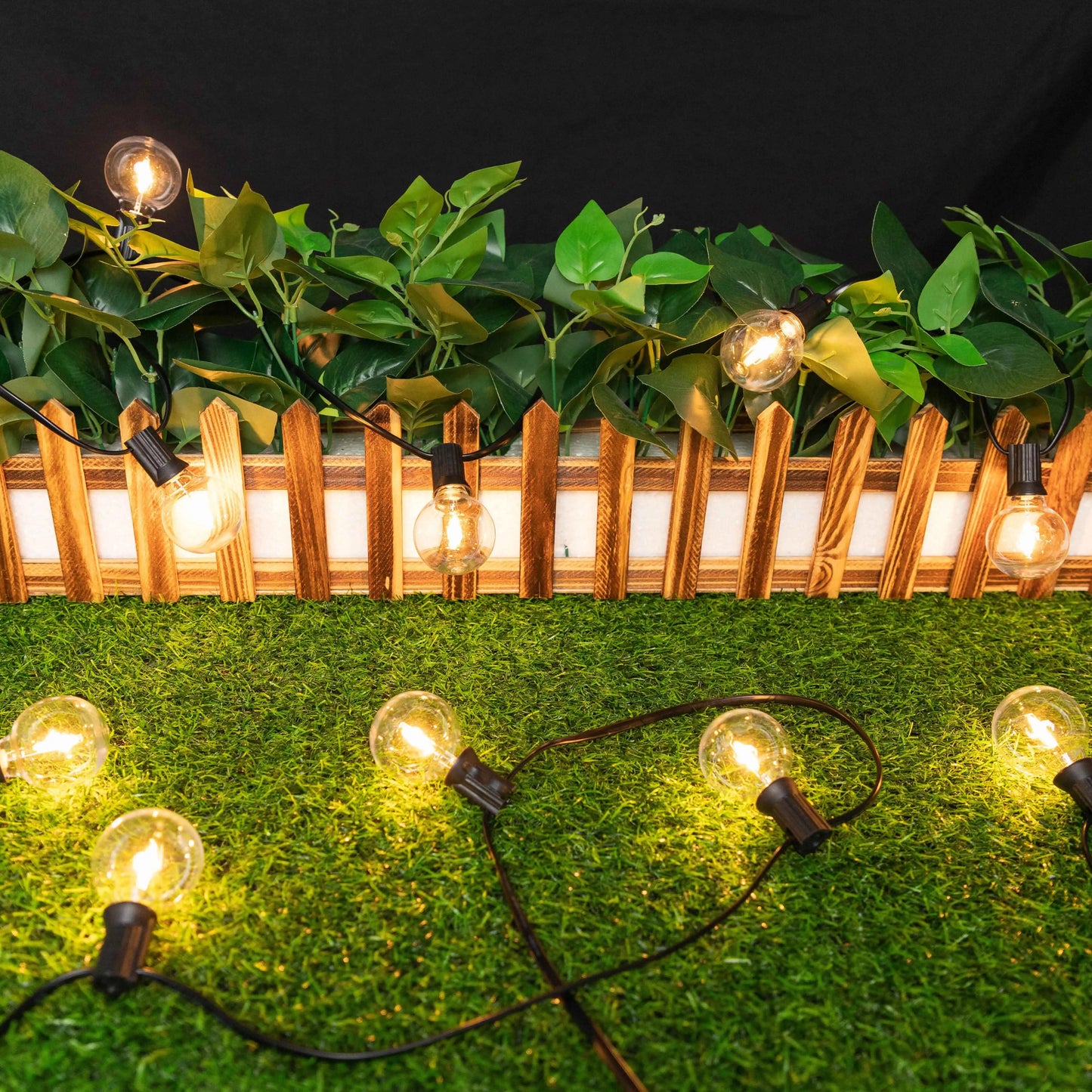 Solar Evening Lights