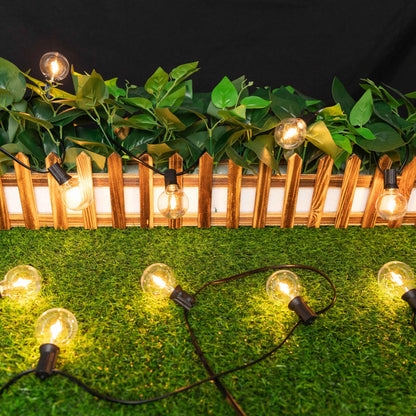 Solar Evening Lights