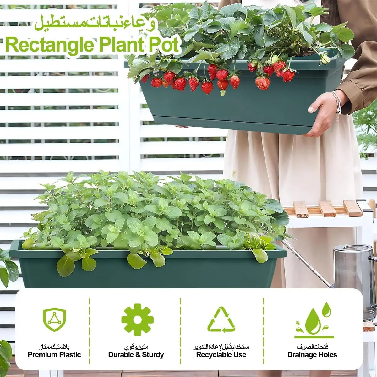 Self-Watering Herb Planter Box – Set of 6